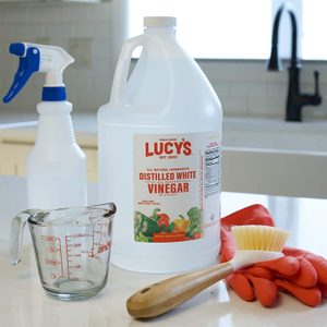Bottle of vinegar stands on a kitchen counter, surrounded by a spray bottle, measuring cup, scrub brush, and red rubber gloves.