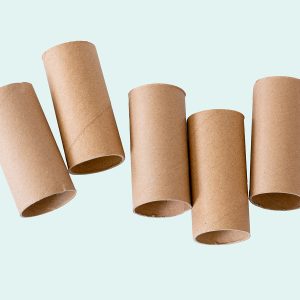 Five empty cardboard toilet paper tubes lying randomly on a light green background.