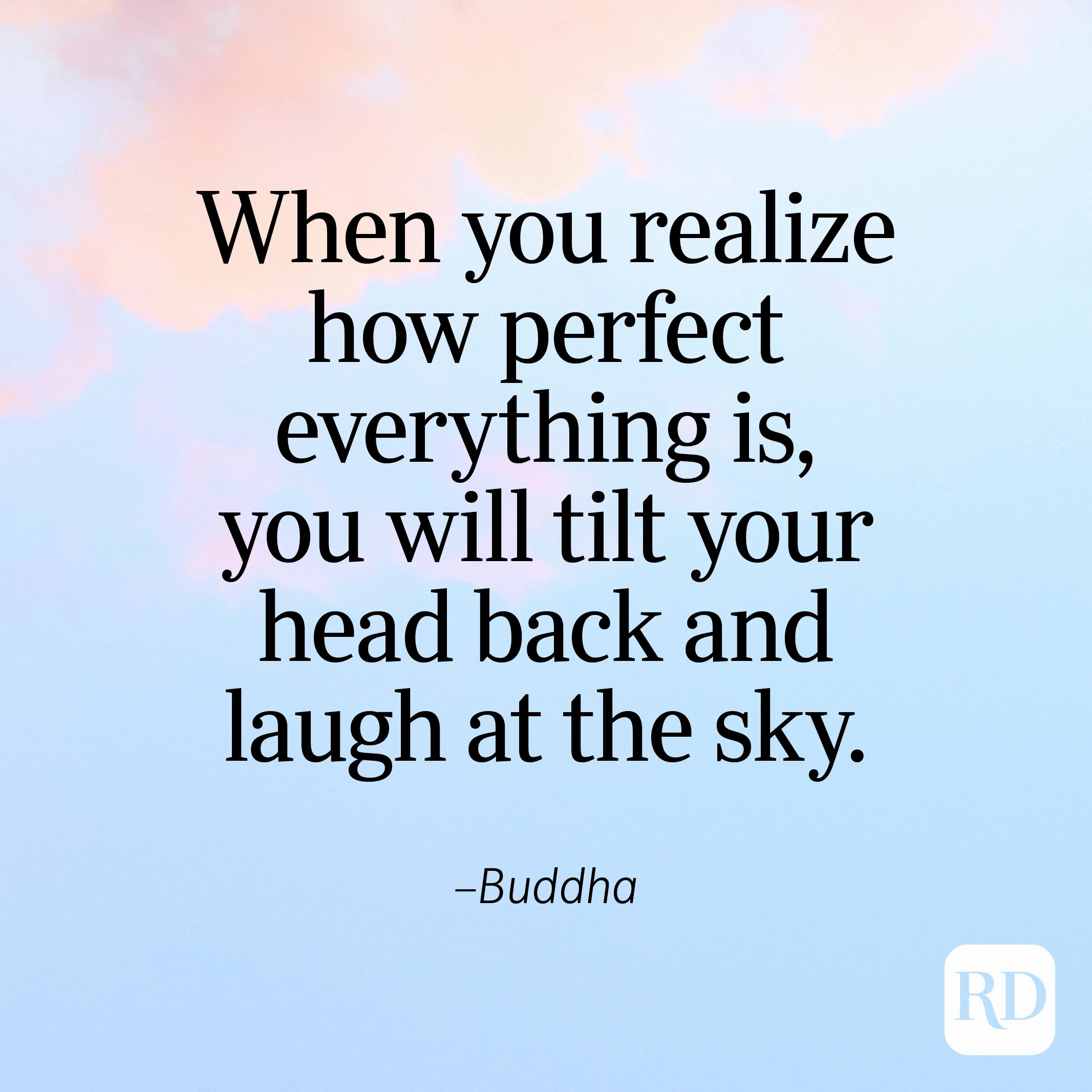 "When you realize how perfect everything is, you will tilt your head back and laugh at the sky." —Buddha