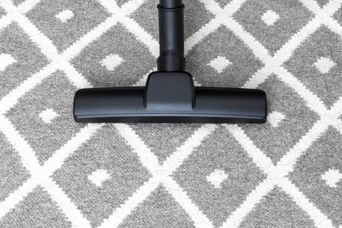 vacuum cleaner fleas