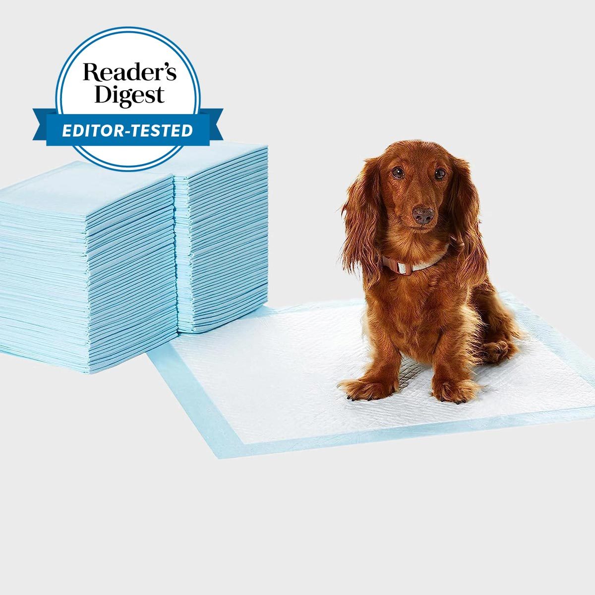 puppy pee pad
