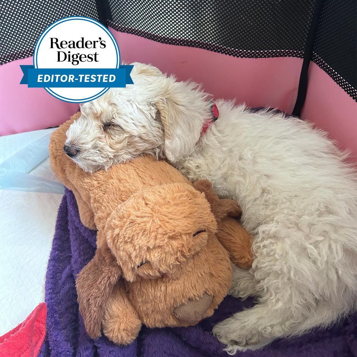 Calming Sleep Toy