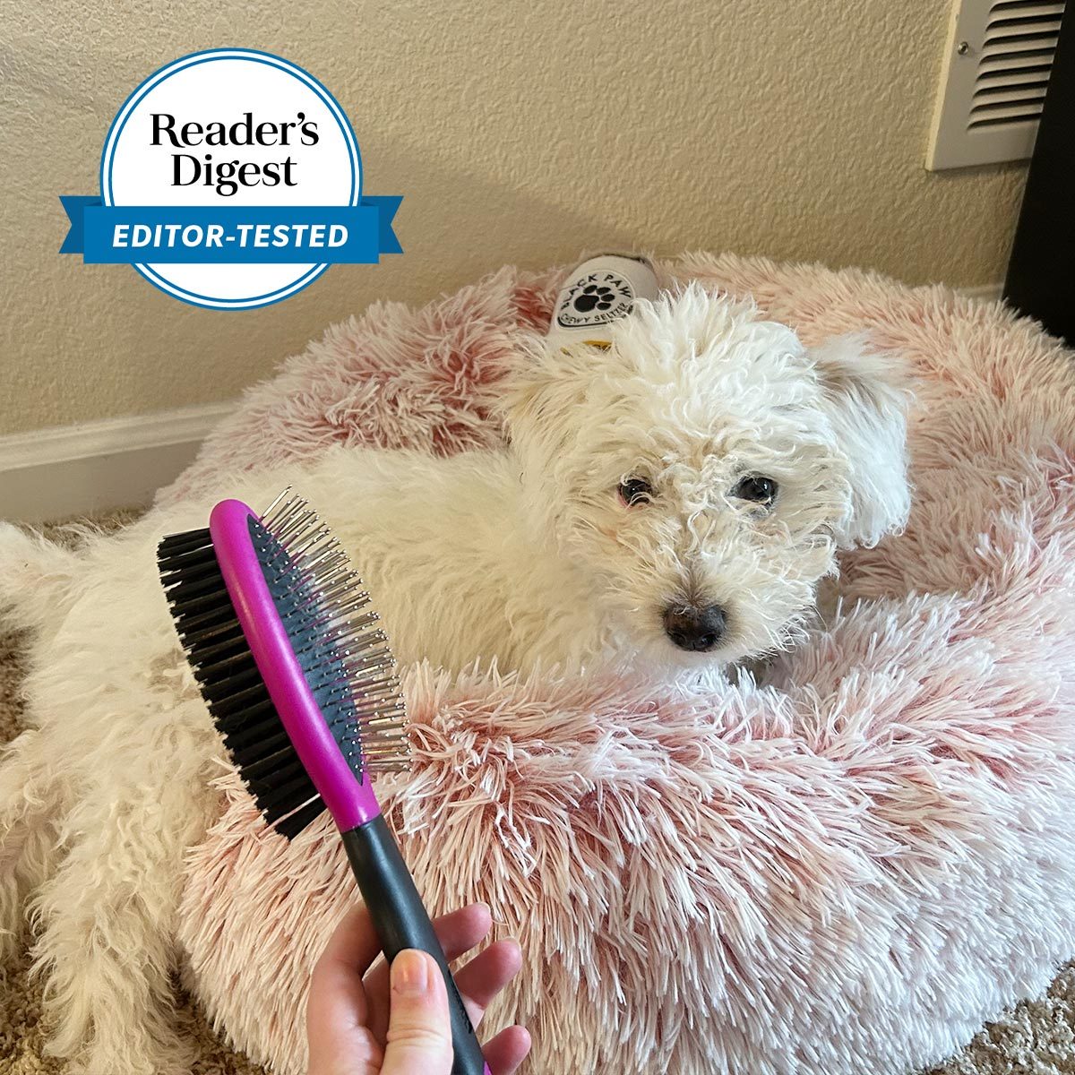 Brush