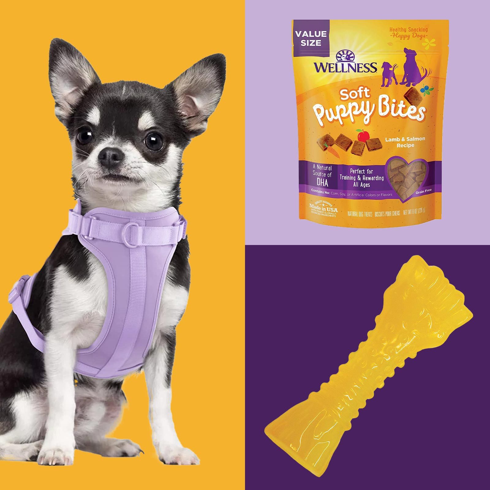 I’m a New Puppy Parent—Here’s Everything I’m Buying to Prepare
