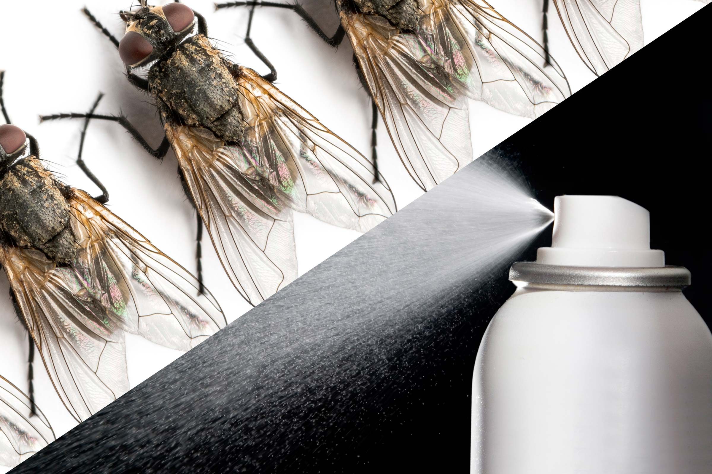 01-flies-unbelievable-uses-hairspray