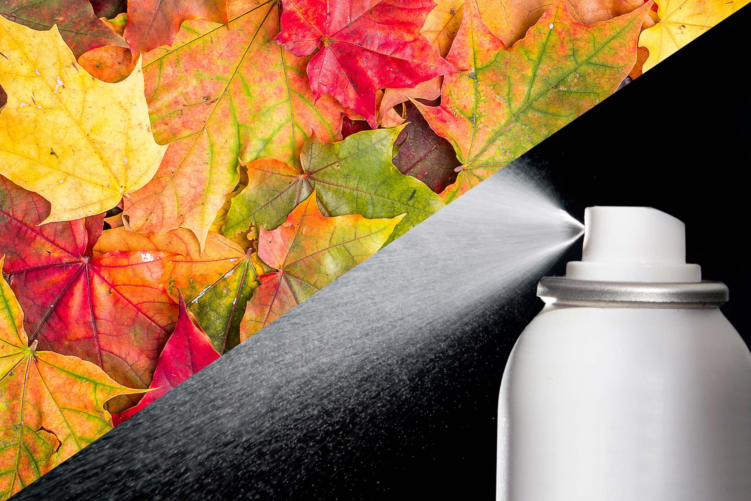 14-leaves-unbelievable-uses-hairspray