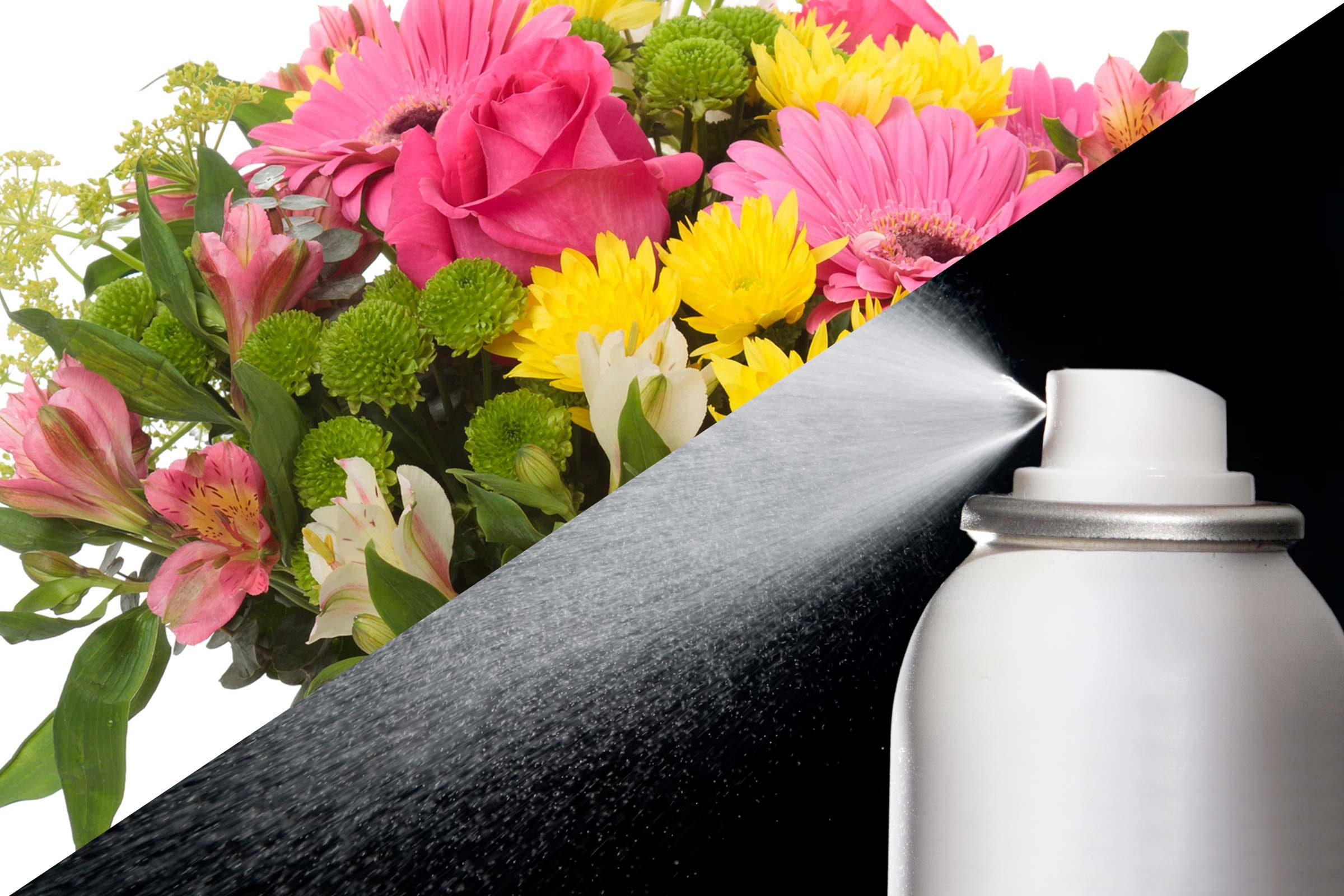 18-flowers-unbelievable-uses-hairspray