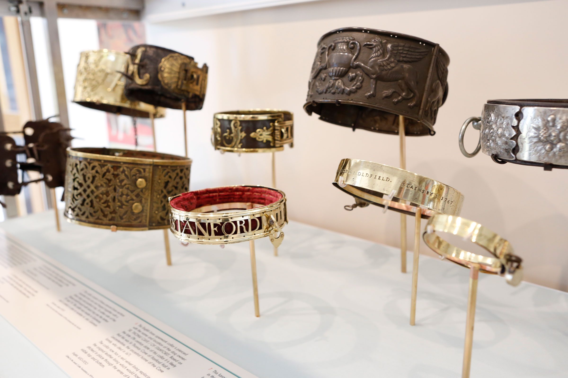 weird-museums-dog-collar-leeds