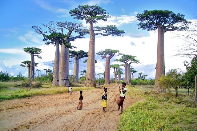 09-these-captivating-Images-of-Amazing-Trees