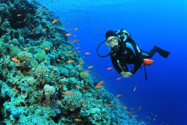 scuba