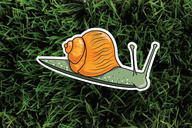 The-6-Most-Pesky-Garden-Pests-and-How-to-Get-Rid-of-Them-Naturally