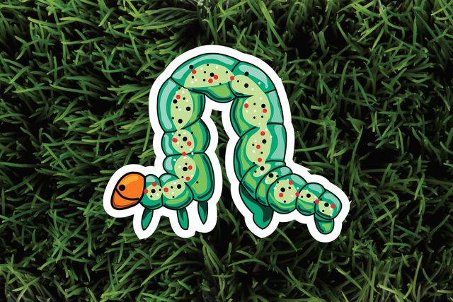 The-6-Most-Pesky-Garden-Pests-and-How-to-Get-Rid-of-Them-Naturally