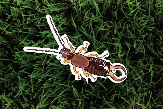 The-6-Most-Pesky-Garden-Pests-and-How-to-Get-Rid-of-Them-Naturally