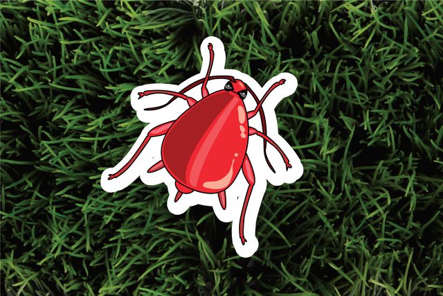 The-6-Most-Pesky-Garden-Pests-and-How-to-Get-Rid-of-Them-Naturally