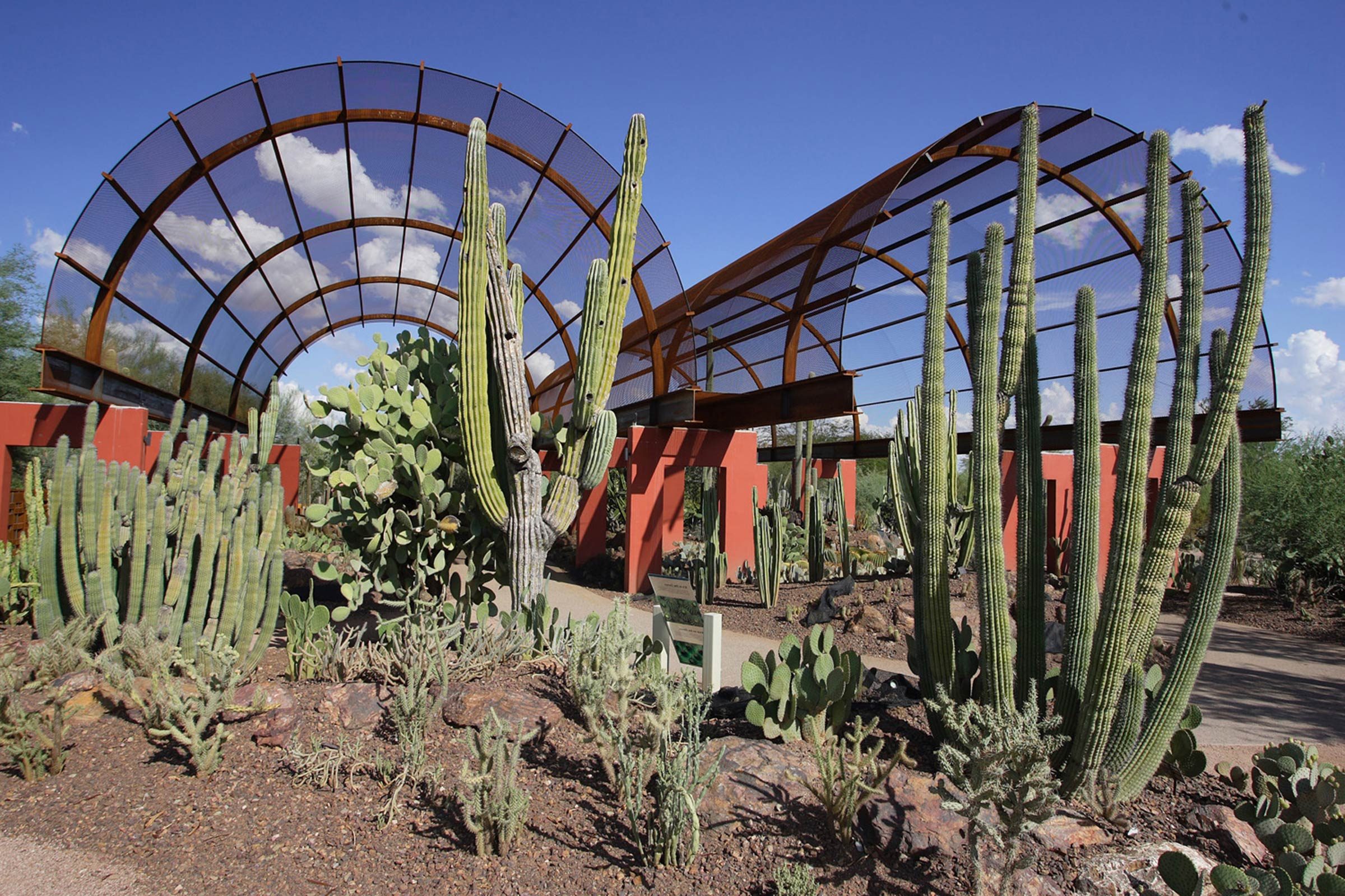 03_Arizone_DesertBotanical_cactus_gallery