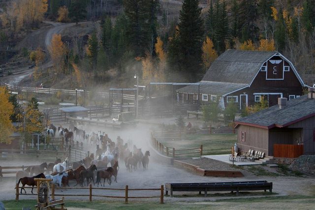 Horses run through a dusty corral, surrounded by rustic cabins and autumn trees in a rural setting.