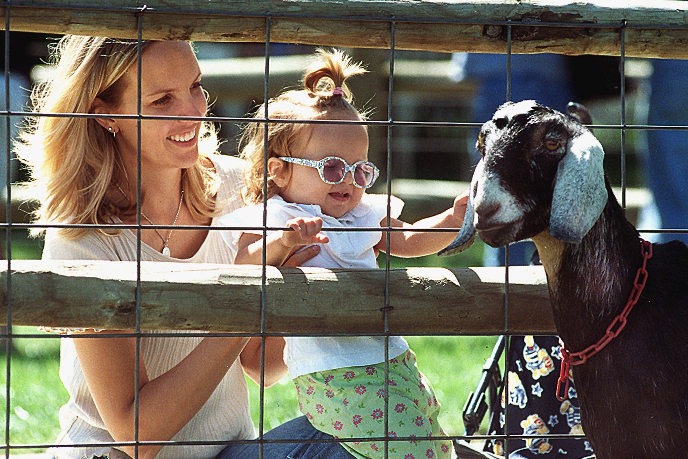 16_Deanna-Rose---Girl-Petting-Goat