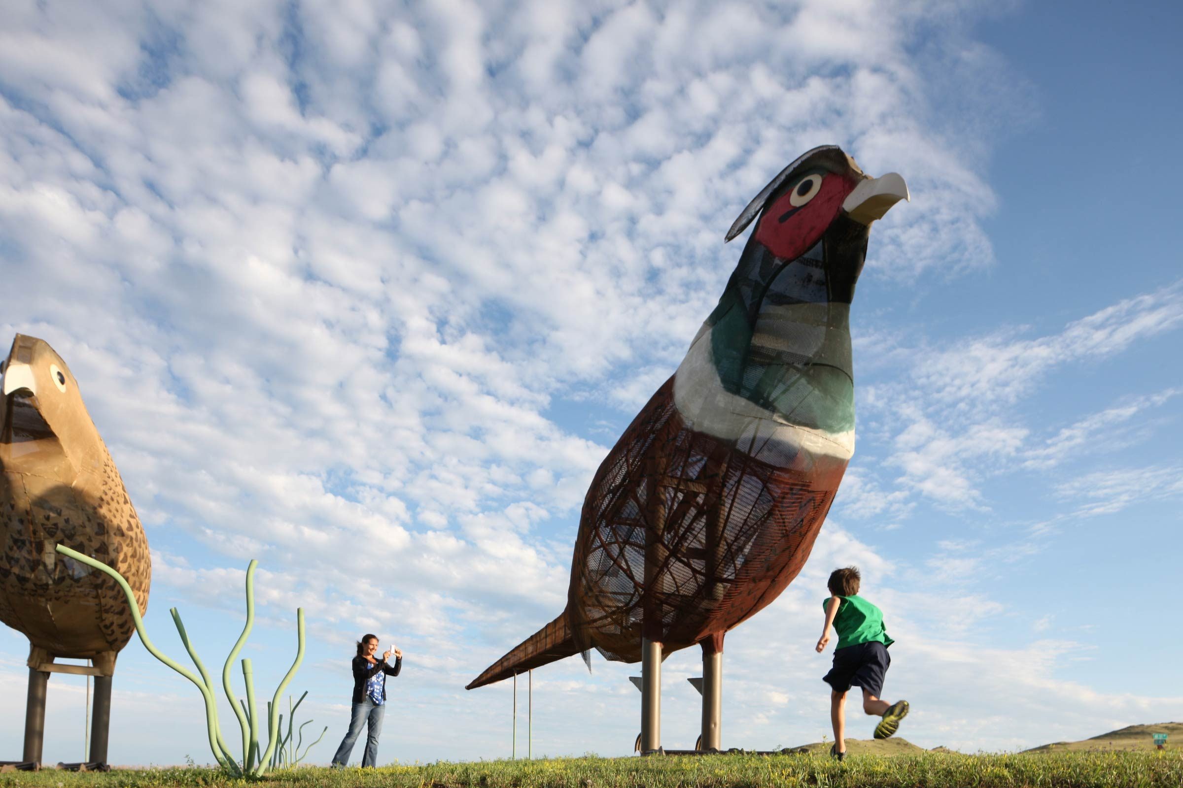 34_Pheasants-on-the-Enchanted-Highway-0L3G4777