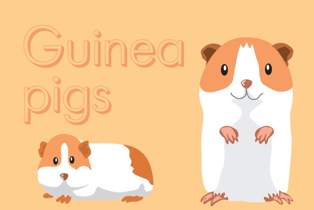 Words-and-Phrases-That-Don't-Mean-What-You-Think