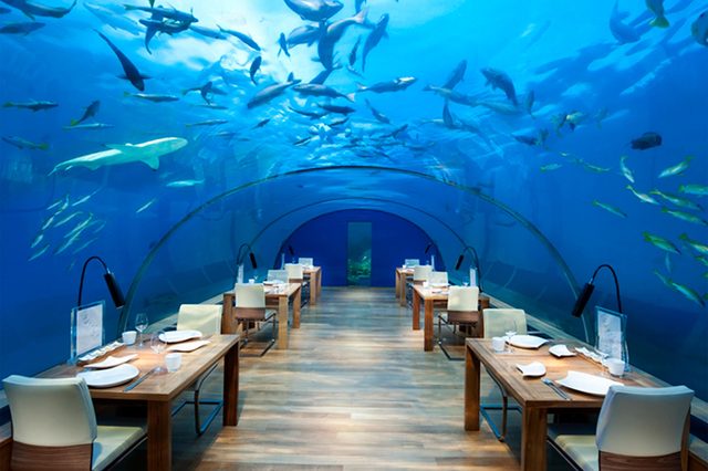 restaurant