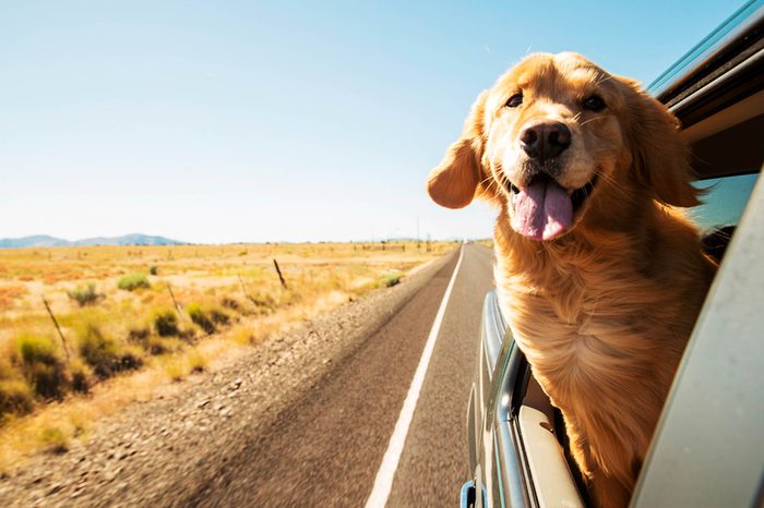 Things-That-Should-Never-Be-Put-On-A-Moving-Truck