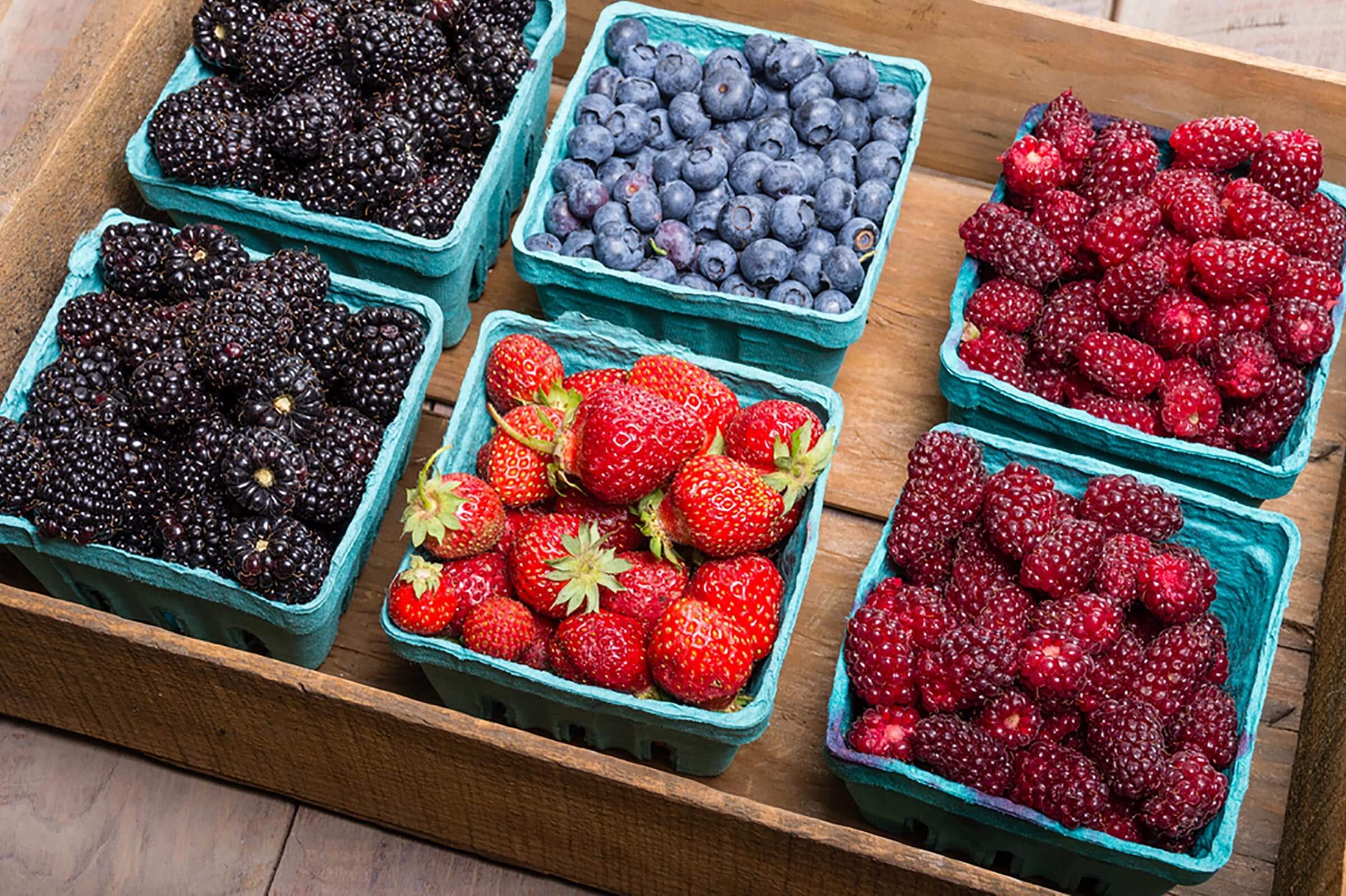 boxes of fresh berries