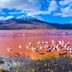 7 Naturally Beautiful Pink Lakes from Around the World