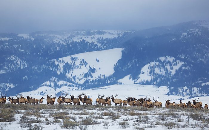 Wyoming