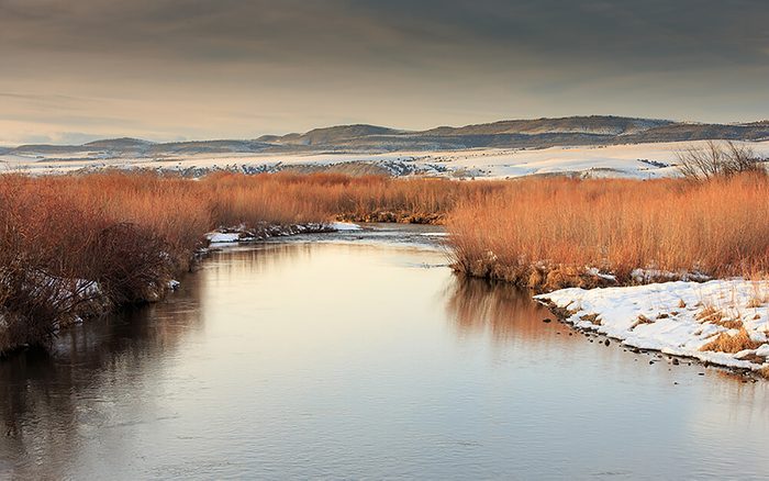 Montana
