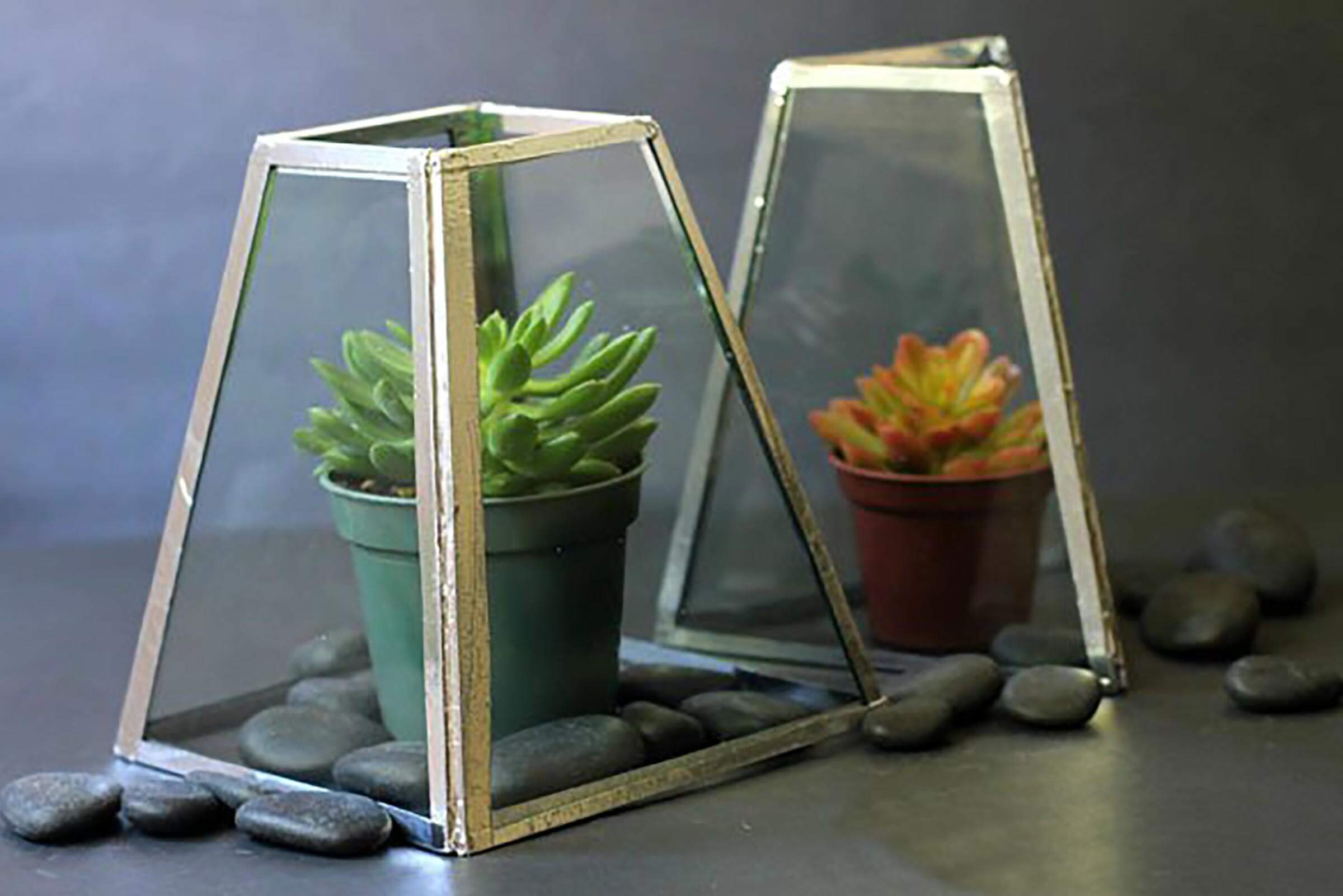 chandelier succulent terrarium gift
