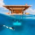 21 Overwater Bungalows That Are Truly Like Heaven on Earth