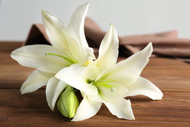 Flower