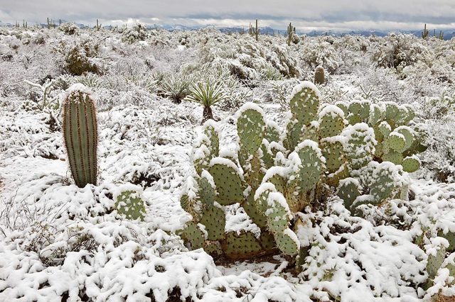 Surprising-Places-Youd-Never-Believe-Its-Snowed