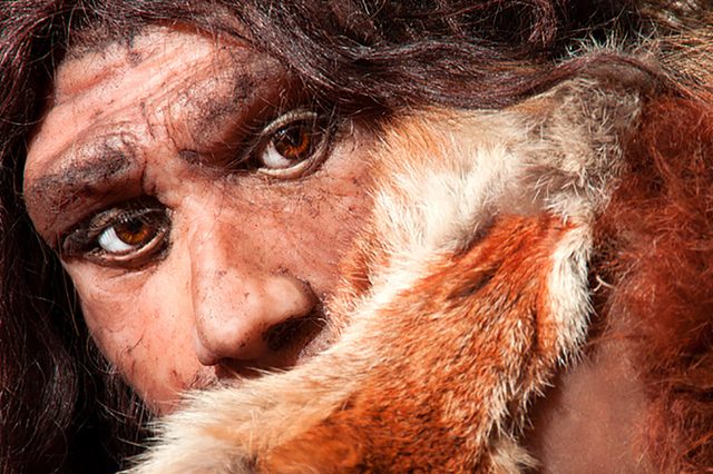 Neanderthals