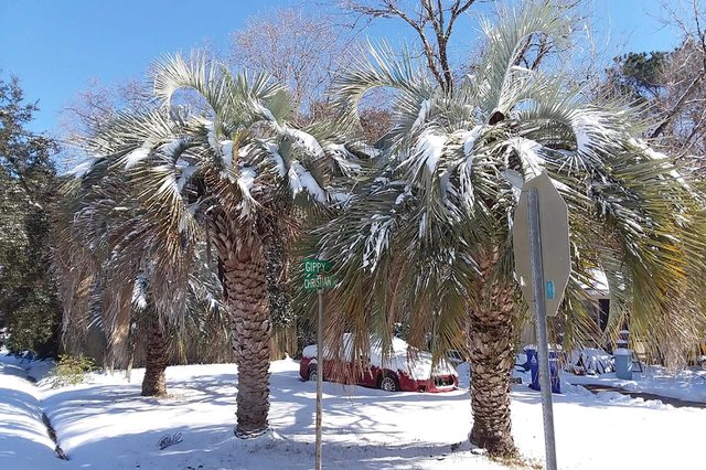 Surprising-Places-Youd-Never-Believe-Its-Snowed