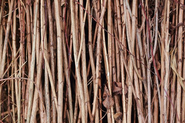Sticks
