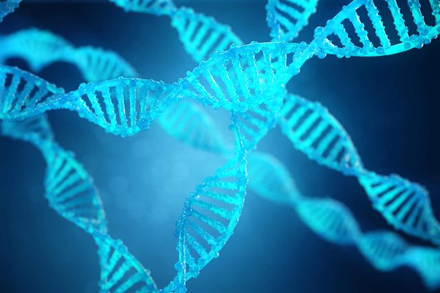 DNA