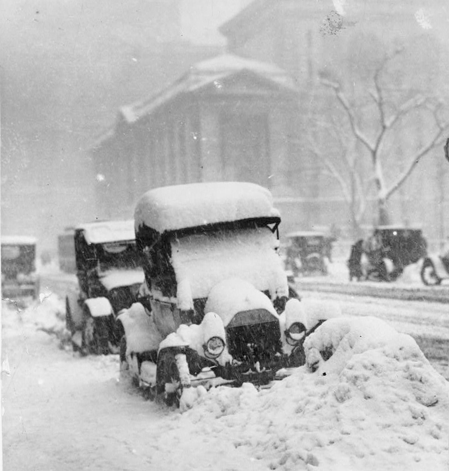 Cars are covered in snow, parked alongside a street during a heavy snowfall. A building and bare tree are visible in the background.