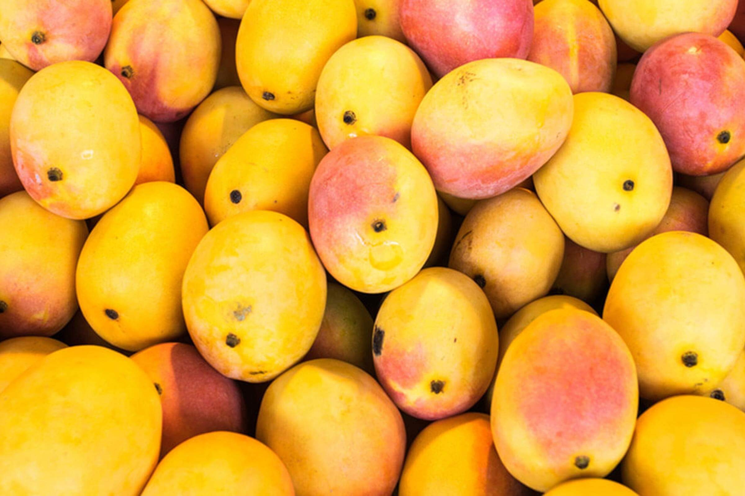 mangos