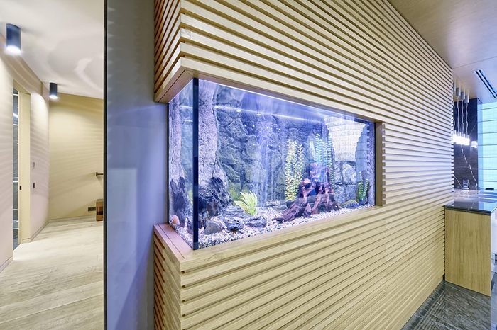 Aquarium
