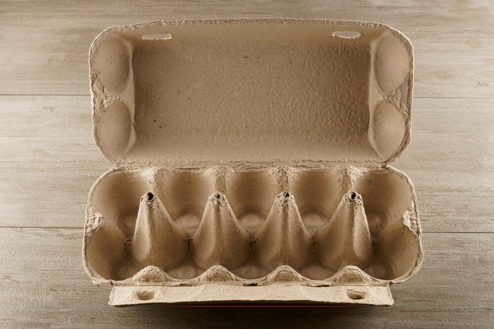 Empty box from under the eggs 