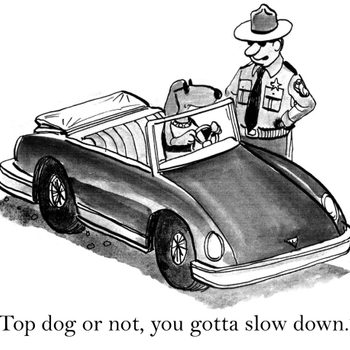 Dog drives a convertible, being stopped by a smiling police officer on a road. Text reads: â€œTop dog or not, you gotta slow down.â€