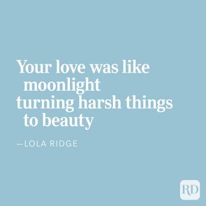 Text quotes love transforming harshness into beauty on a light blue background.