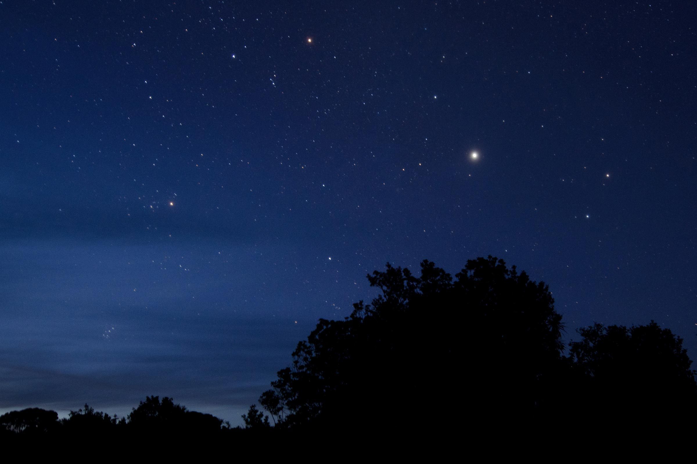 The Polaris star and night sky with trees skyline.