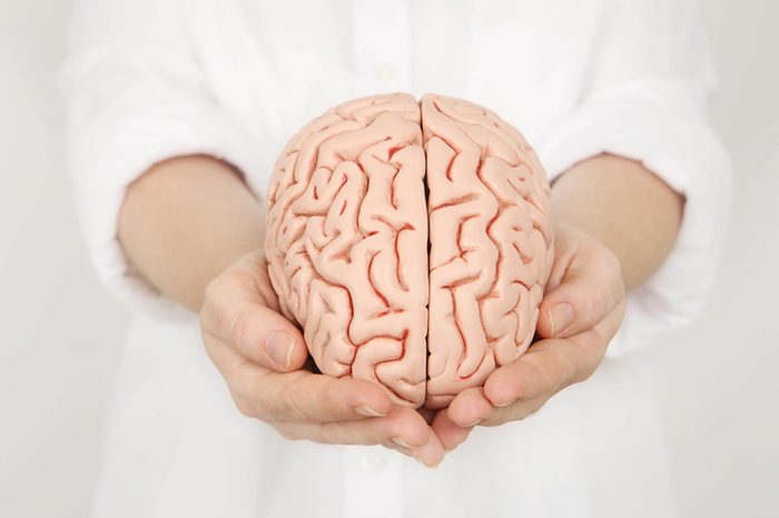 Brain Model in hands