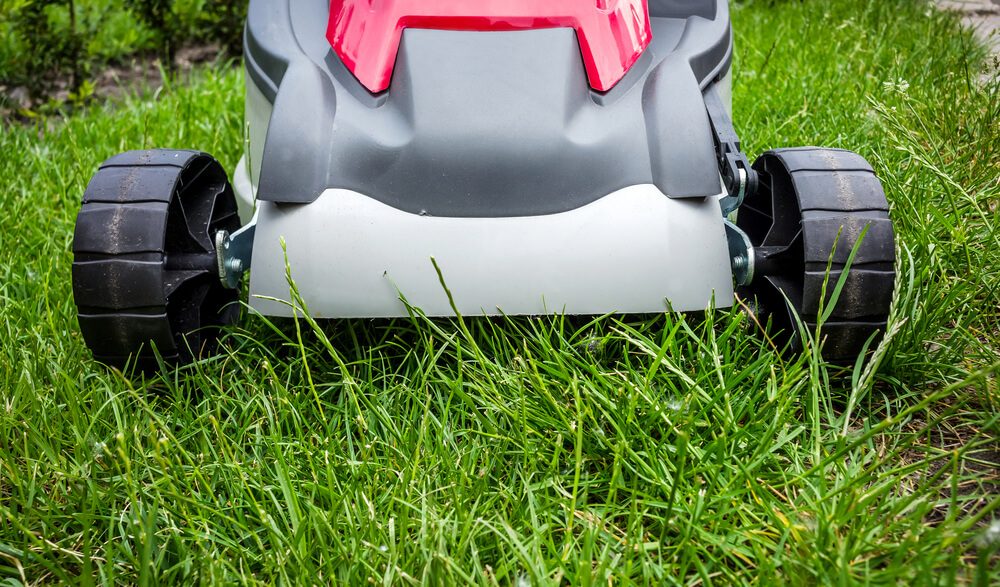 Lawnmower cutting grass in the garden