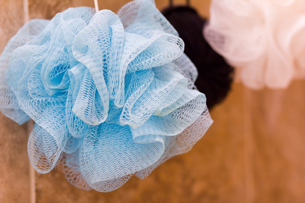 Loofah 