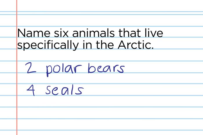 Arctic animals