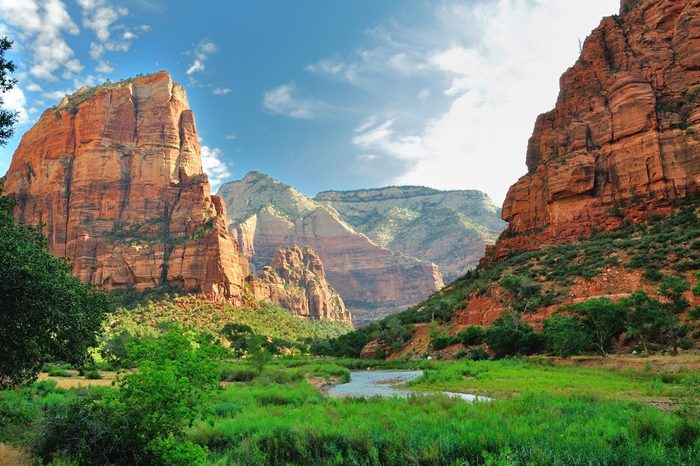 Zion Canyon, with the virgin river, Zion National Park, Utah, USA