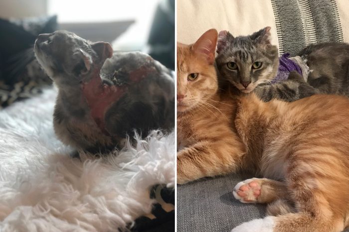 Barry Before and After